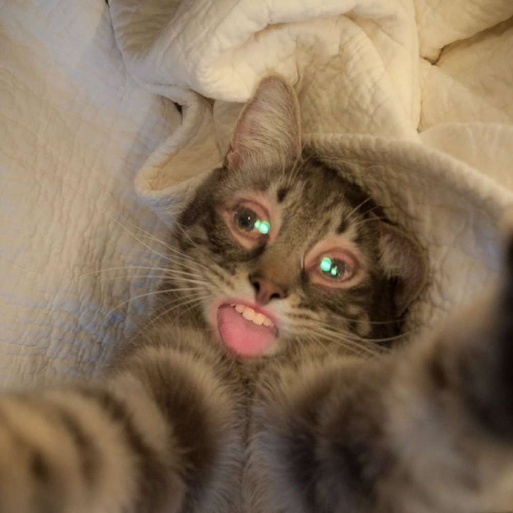 Meet your Posher, Kylea